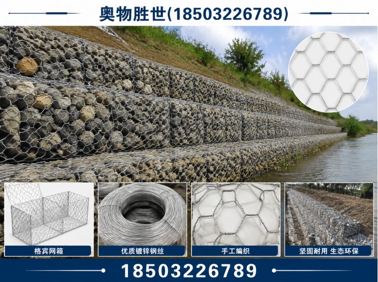 陇南格宾网展示图